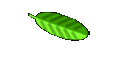 DEBROUSSAILLAGE